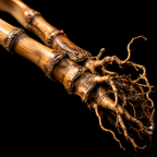 Root: Bamboo-Root Tea Tongs