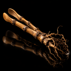 Root: Bamboo-Root Tea Tongs